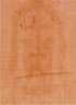 Shroud of Christ